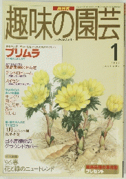 趣味の園芸　1996年1月号