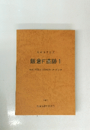 飯倉F遺跡 1　1994年