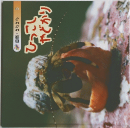 ひっこし やどかり