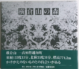 横倉山の森