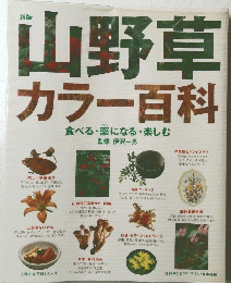 山野草　カラー百科