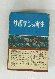 サボテンの実生