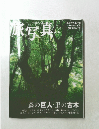 旅写真