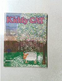 Kiddy CAT　９号