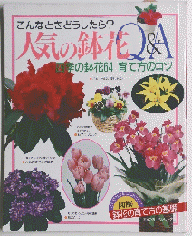 こんなときどうしたら?人気の鉢花
