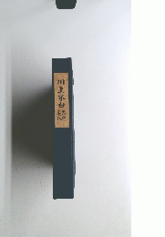 川上系白