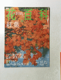 花百科　2004年１０月号