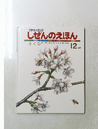 しぜんのえほん 12