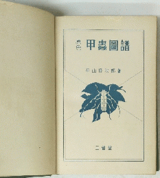 甲蟲圖譜　