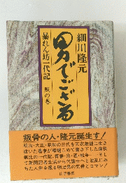 男でござる 暴れん坊一代記 風の巻