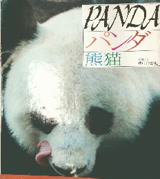 パンダ　熊猫　
