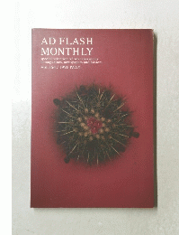 AD FLASH MONTHLY　１９９６年５月号　Vol.164
