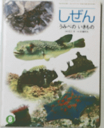 しぜん　うみべのいきもの　8
