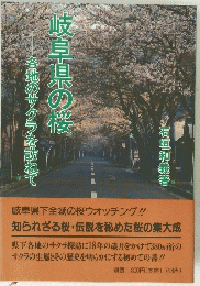 岐阜県の桜