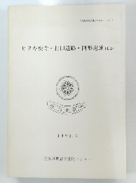 ヒタキ廃寺・打田遺跡・阿形遺跡ほか　1992.3