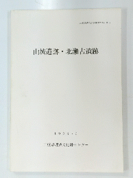 山城遺跡・北瀬古遺跡　1994・3