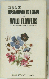 コリンズ 野生植物(花)図典　THE WILD FLOWERS OF BRITAIN AND NORTHERN EUROPE