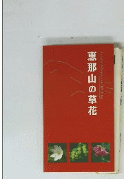 恵那山の草花