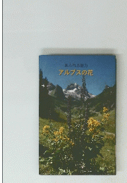 あふれる魅力　アルプスの花