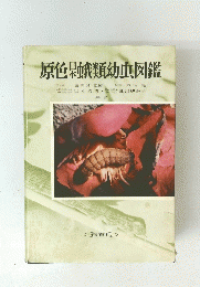 原色日本蛾類幼虫図鑑