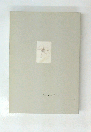 Kawaguchi　Tatsuo　1990-1998