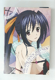HIGH　SCHOOL DXD NEW VISUAL COLLECTION