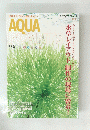 AQUA PLANTS アクアプランツ 2011 No.08