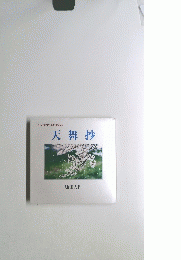 天舞抄
