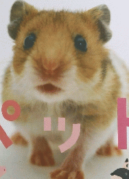 スーパーフィドずかん　ペット