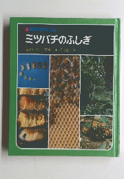 ミツバチのふしぎ　