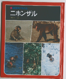 科学のアルハム ニホンザル
