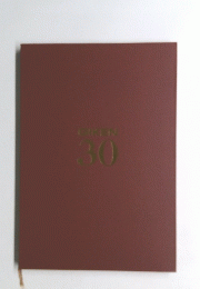 ＧIＫEN　30