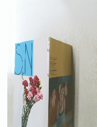 SとN　3
