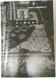 焼津市埋蔵文化財発掘調査報告書　６