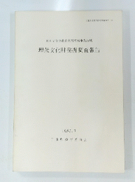 埋蔵文化財発掘調査報告