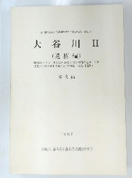 大谷川 II (遺構編) 本文編 1987