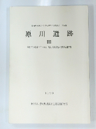静岡県埋蔵文化財調査研究所調査報告 第24集　原川遺跡　3