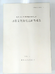 埋蔵文化財発掘調査報告 1982.3