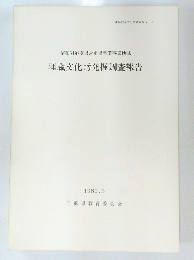埋蔵文化財発掘調査報告　1980
