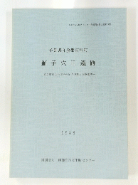 千葉県印旛郡富里町 獅子穴 II 遺跡　1988