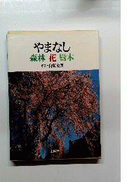 やまなし森林花樹木