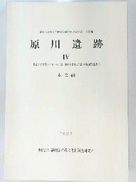 原川遺跡 4　本文編　1991年