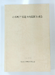 小杉町白石遺跡発掘調査報告　1994年3月号