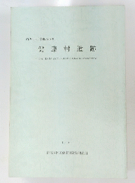 健康村遺跡　1994年号