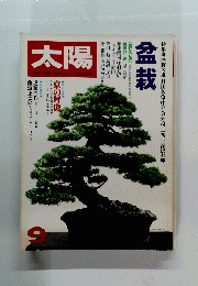 太陽　9
