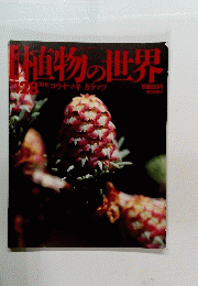 直物の世界　128　10月6日号