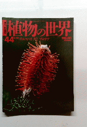 植物の世界 ４４号　2/19号