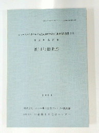 長田和田遺跡