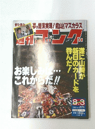週刊ゴング　1995年8/3号　No.573
