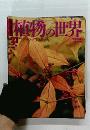植物の世界　2021年9/4号　クマツヅラムラサキ